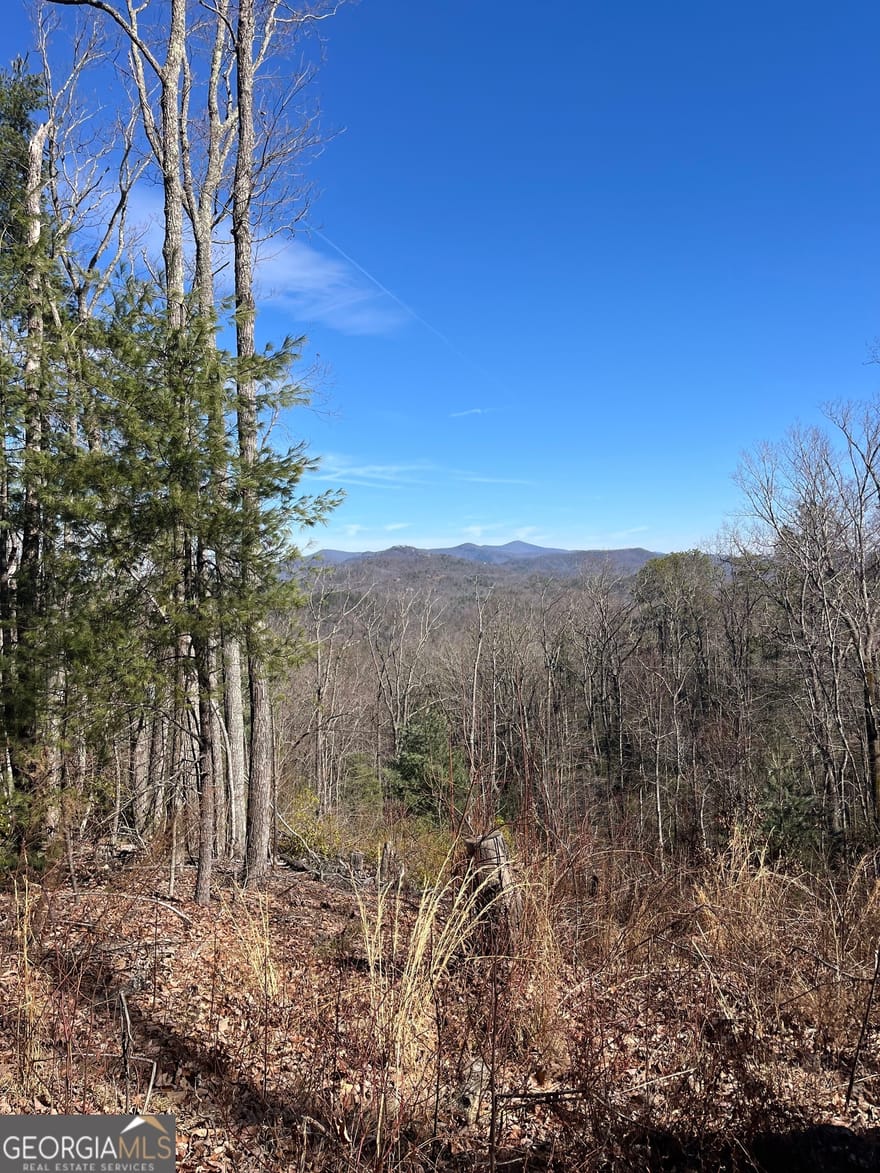 Eastman Mtn Road, Tiger, Georgia