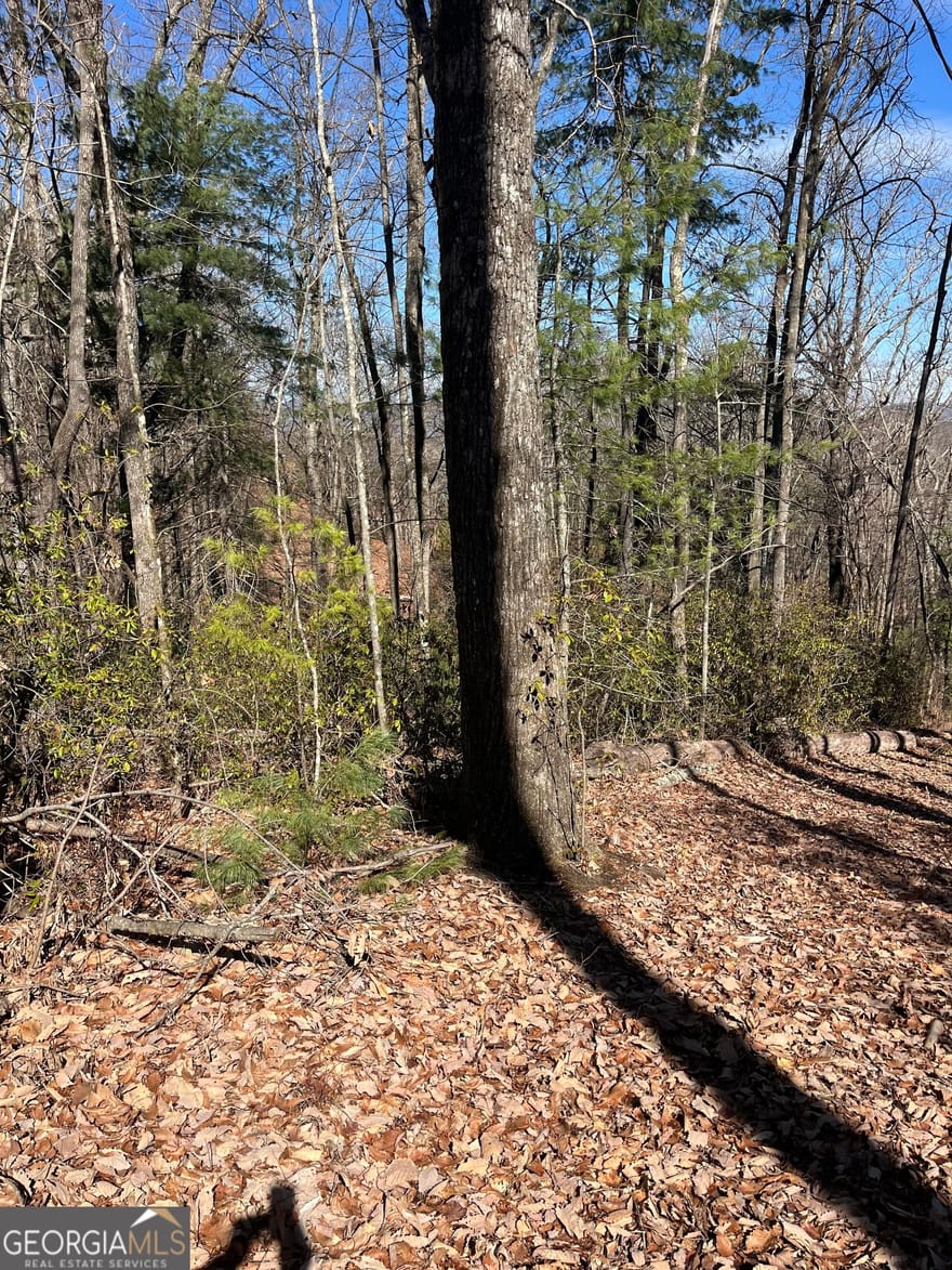 Eastman Mtn Road, Tiger, Georgia