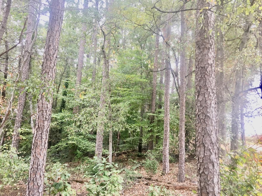 Hwy 17 Alt, Toccoa, Georgia