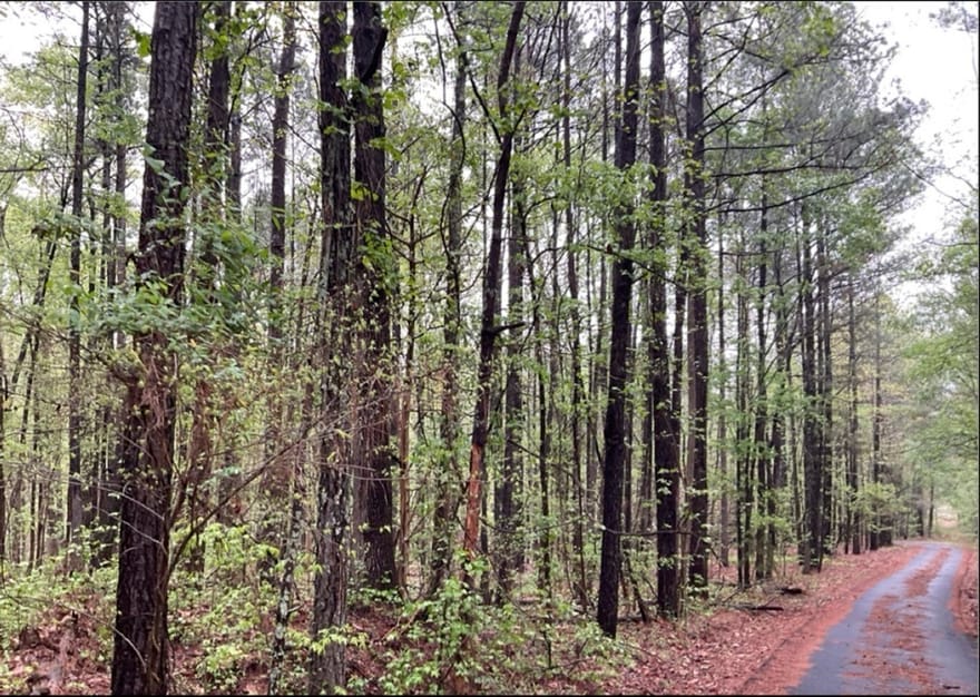 Labudde Lane, Colbert, Georgia