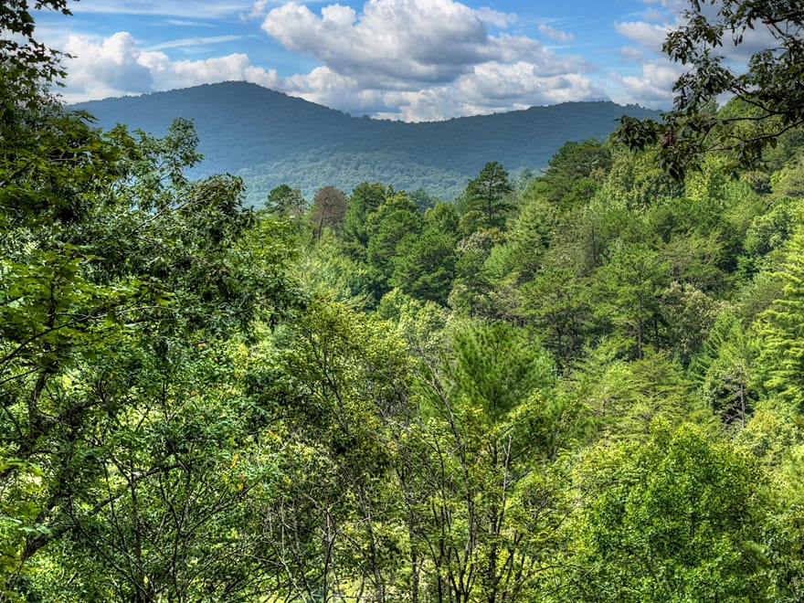 1821 Stanley Creek Road, Cherry Log, Georgia