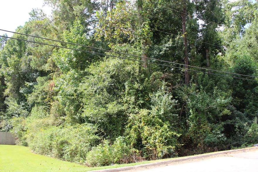 218 Ella Drive, Griffin, Georgia