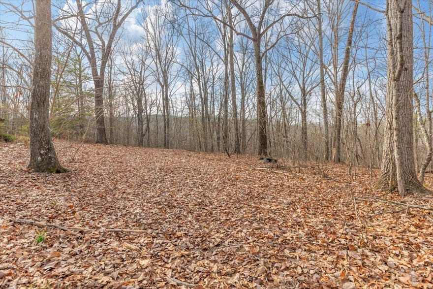 13 ACRES Percheron Drive, Dalton, Georgia