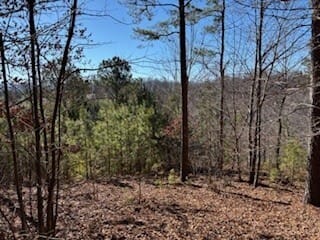 Mile High Lane, Blairsville, Georgia