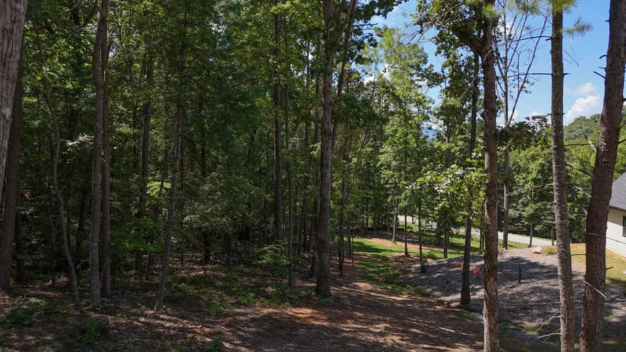 Sautee Ridge Road, Clarkesville, Georgia