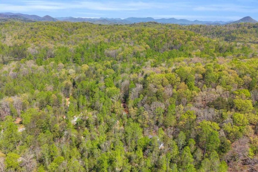 294 Brookwood Lane, Clarkesville, Georgia