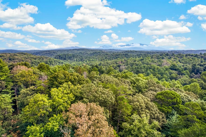 LOT 14 Clear Creek Preserve Way, Ellijay, Georgia
