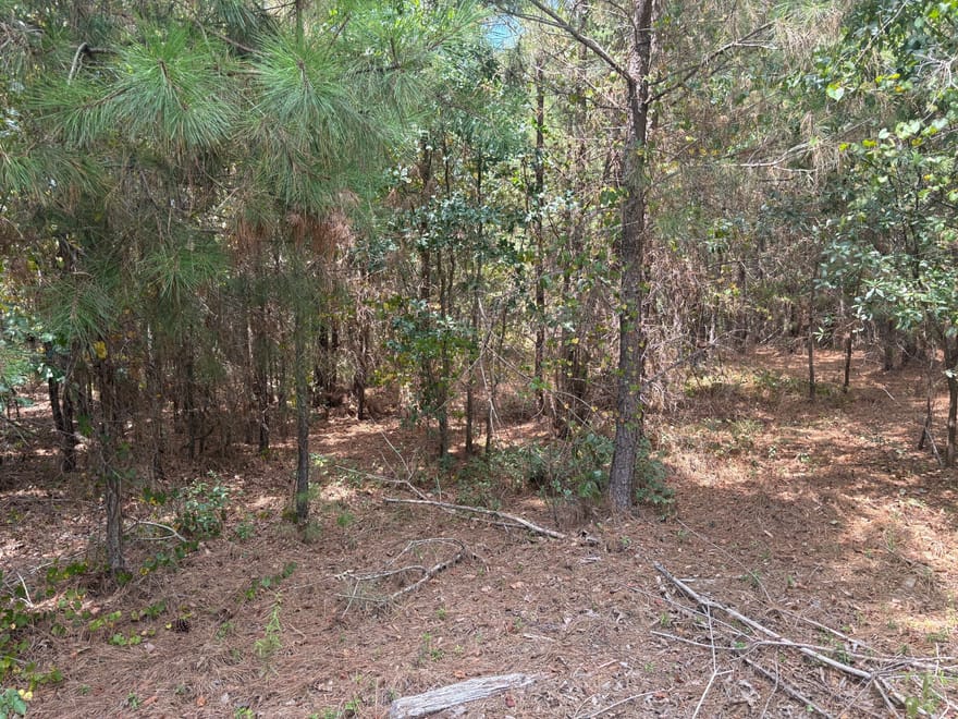 L12 N Indian Trail Road, Sandersville, Georgia