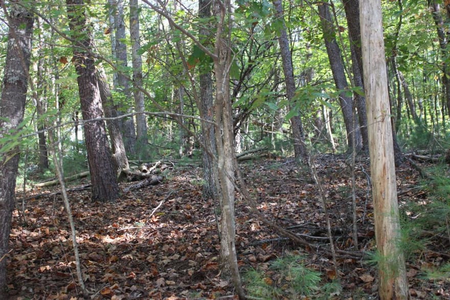 LOT 16R Leatherwood Mountain Road, Cherry Log, Georgia