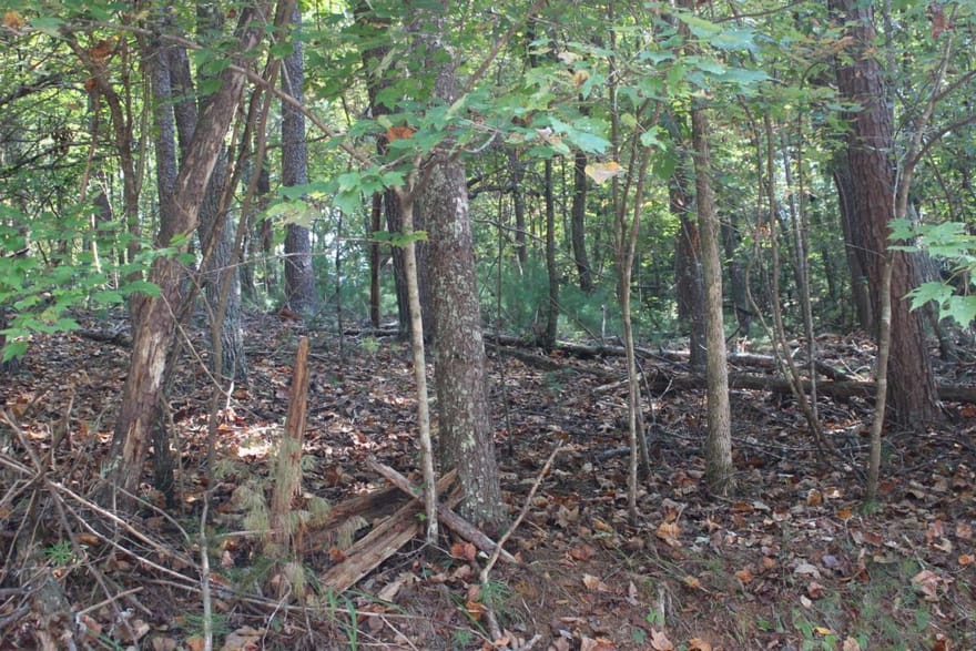 LOT 16R Leatherwood Mountain Road, Cherry Log, Georgia