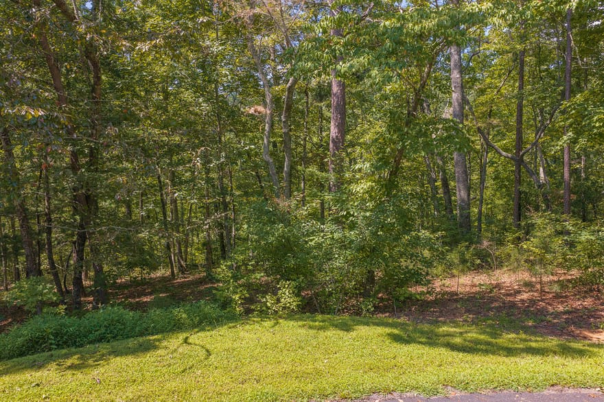 LTS 205/206 Harris Ridge Drive, Ellijay, Georgia