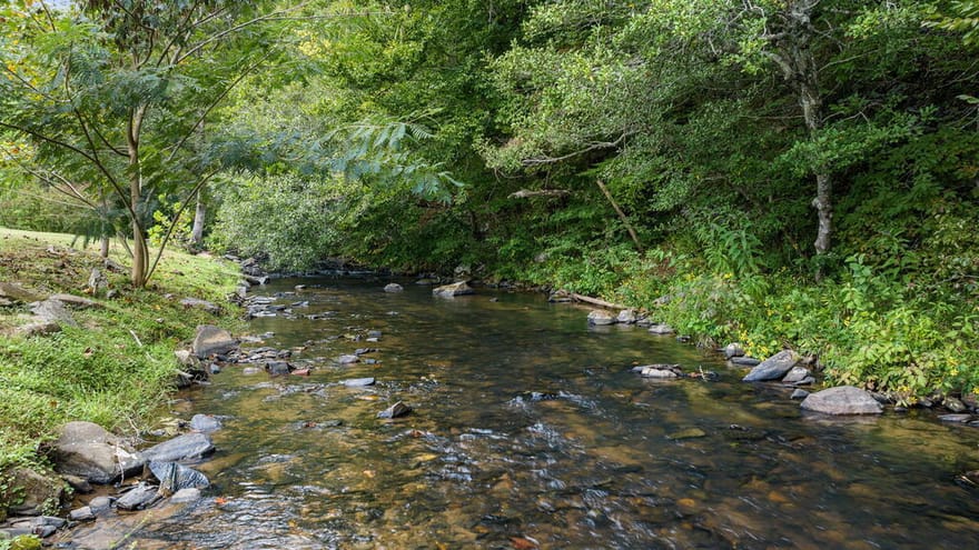 235 W Conasauga Creek, Ellijay, Georgia