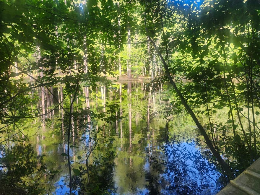 Hwy 142, Newborn, Georgia