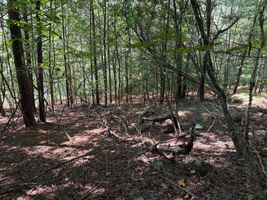 LOT 25 Trailwood Drive, Blairsville, Georgia