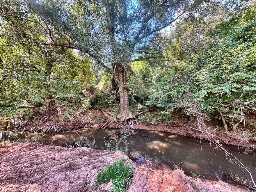 102 Yellow Creek Road, Forsyth, Georgia