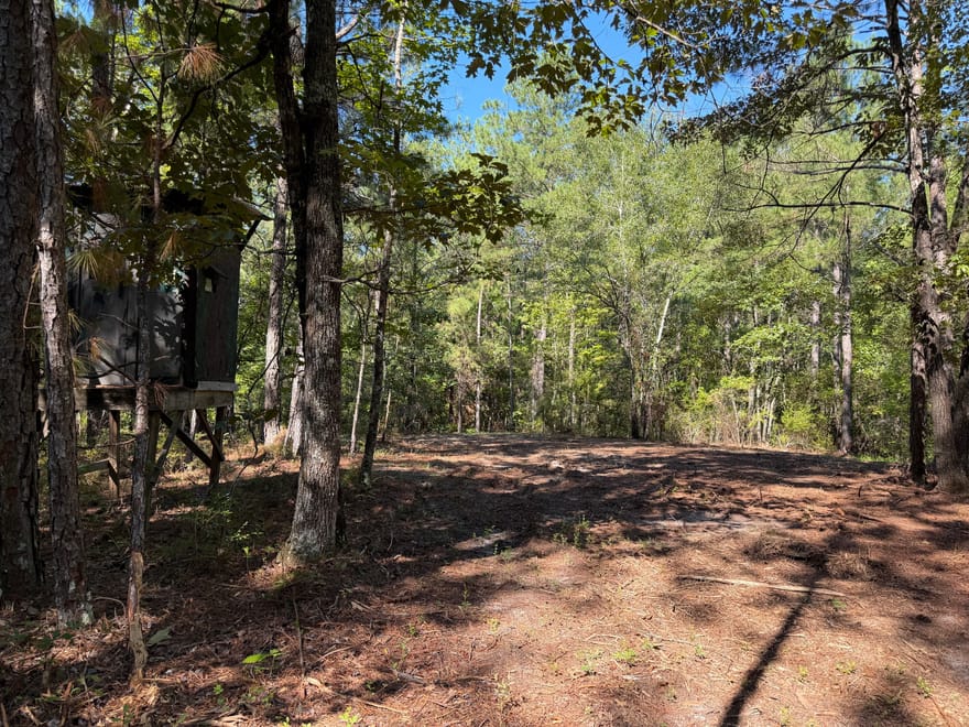 Pig Road, Bartow, Georgia