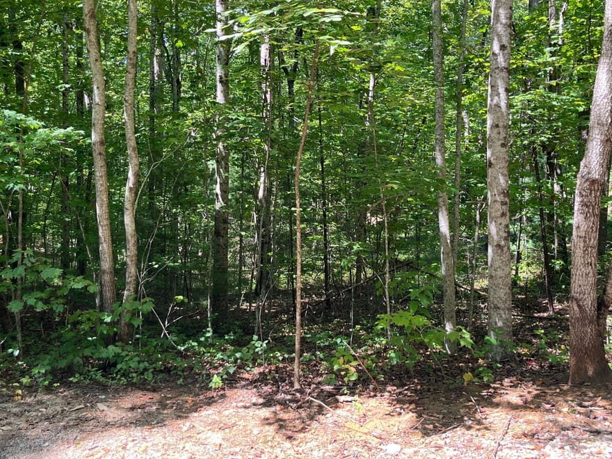 LOT 7 Forest Canopy Way, Clayton, Georgia
