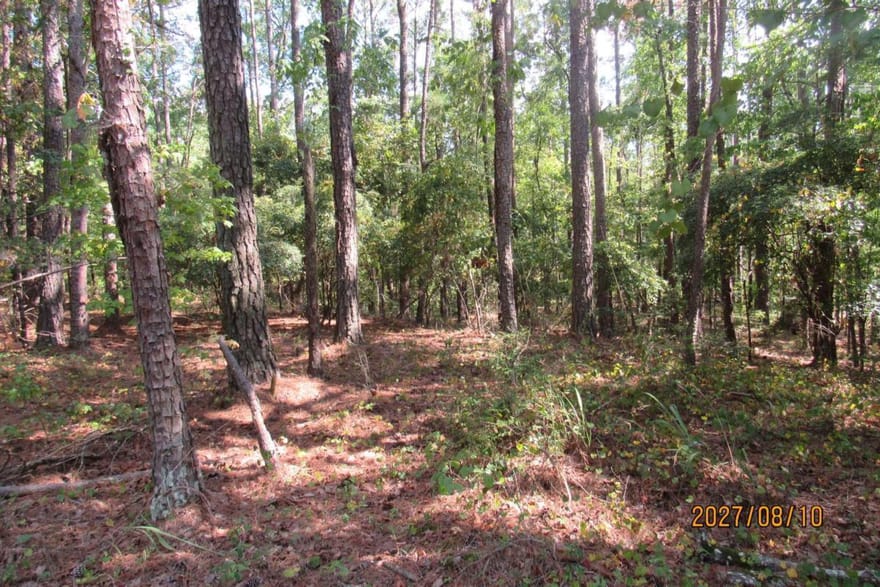 704 S Chickasaw Trail SW, Sparta, Georgia
