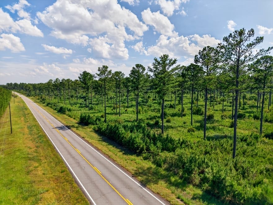 Hwy 30, Buena Vista, Georgia