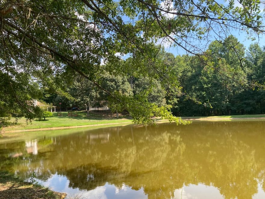 1100 Billy Mcgee Road, Lawrenceville, Georgia