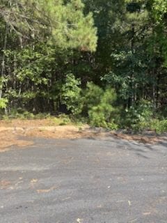 20 Ratliff Drive, Covington, Georgia