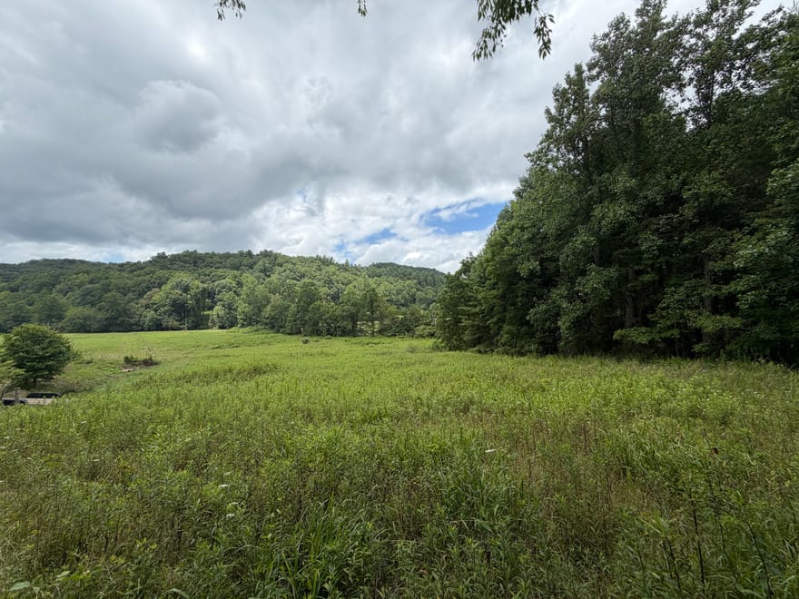 Baker Creek Road, Suches, Georgia