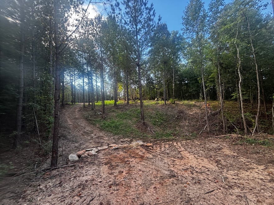2807 Cedar Creek Road, Elberton, Georgia
