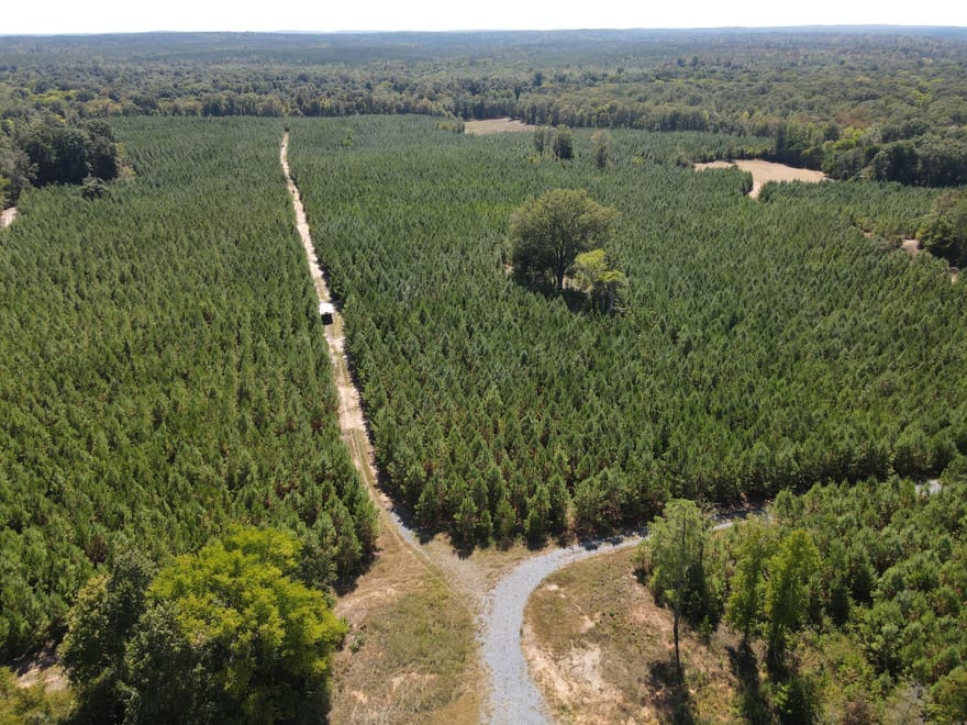 9390 Hopewell Road, Lizella, Georgia