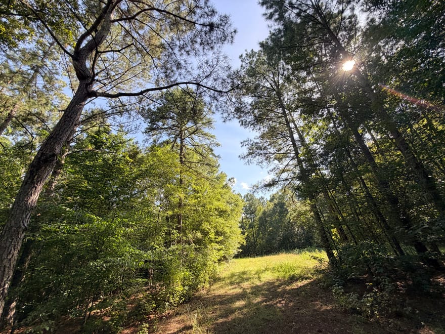 2 Cunningham Road, Greensboro, Georgia