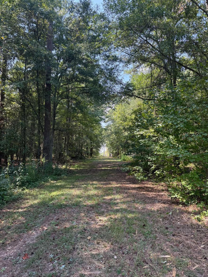 Monroe Highway, Bethlehem, Georgia