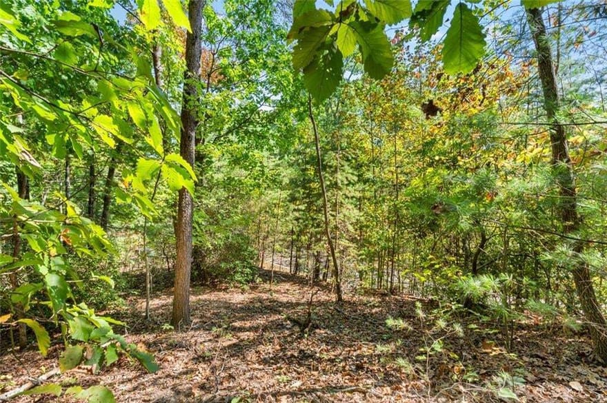 288 Blazingstar Trail, Big Canoe, Georgia