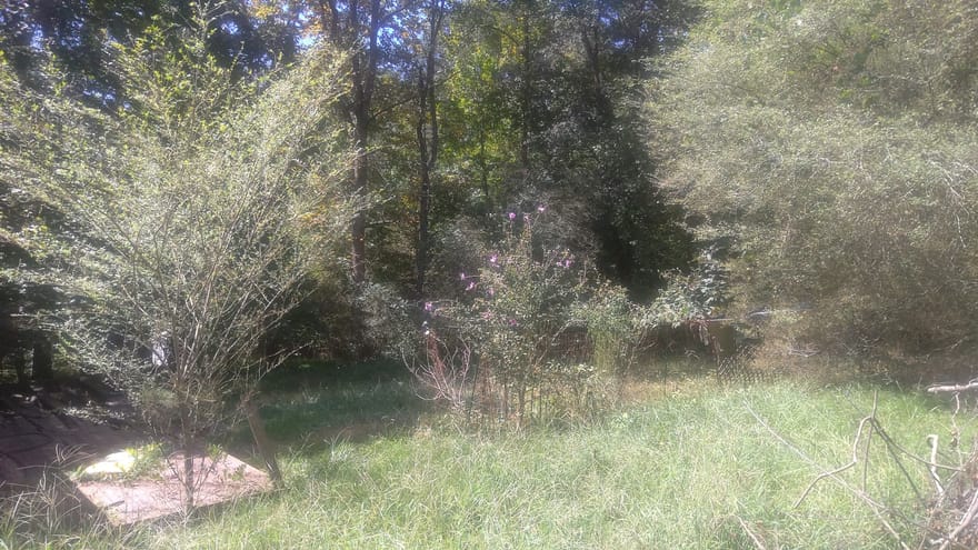 110 Mountainside Drive W, Dawsonville, Georgia