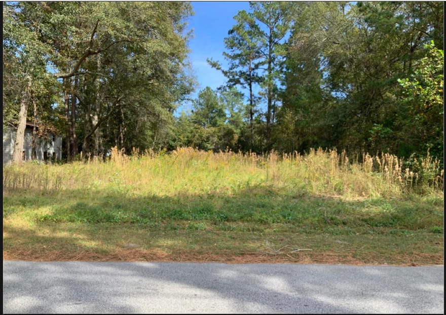 Magnolia Street, Guyton, Georgia