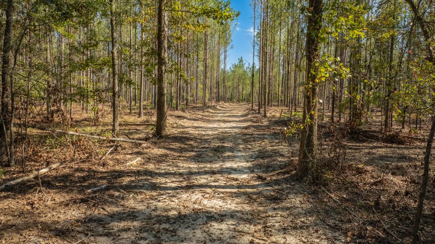 Livingston Road, Rome, Georgia