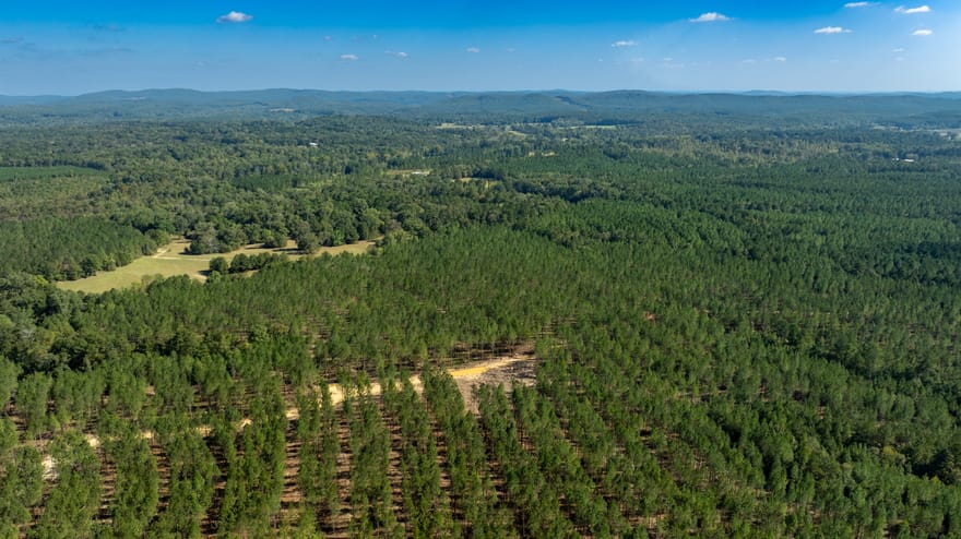 Livingston Road, Rome, Georgia