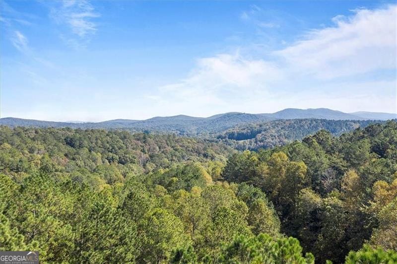 72 Mountain Creek Hollow Drive, Talking Rock, Georgia