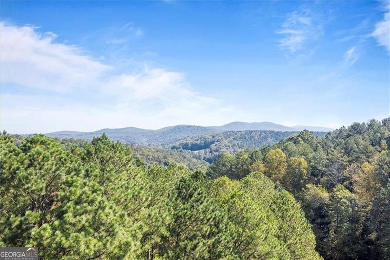 72 Mountain Creek Hollow Drive, Talking Rock, Georgia