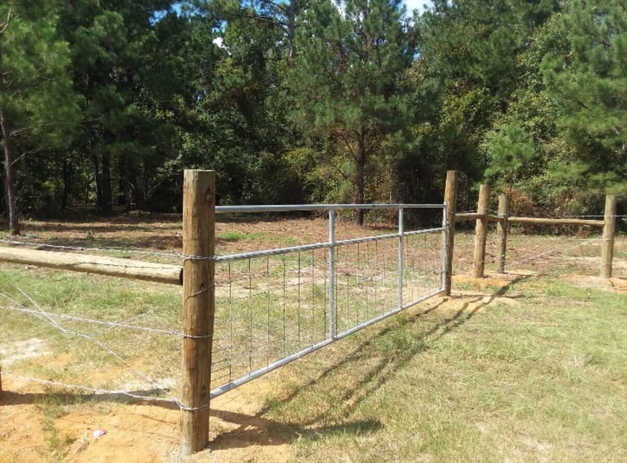 Pig Road, Bartow, Georgia