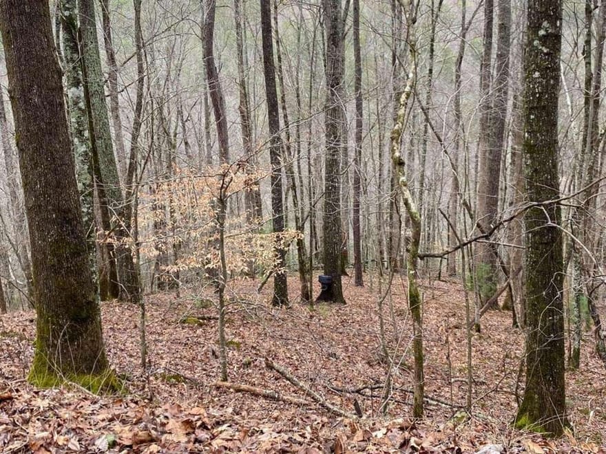 4AC Scenic Way, Ellijay, Georgia