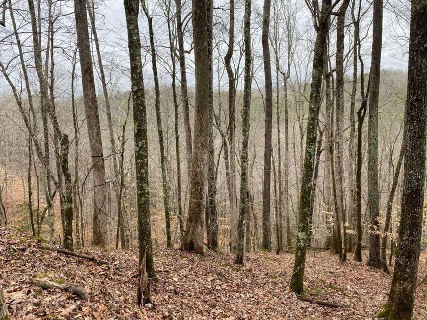 4AC Scenic Way, Ellijay, Georgia