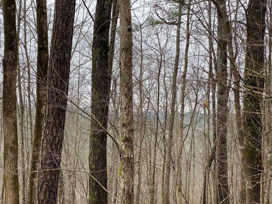 4AC Scenic Way, Ellijay, Georgia