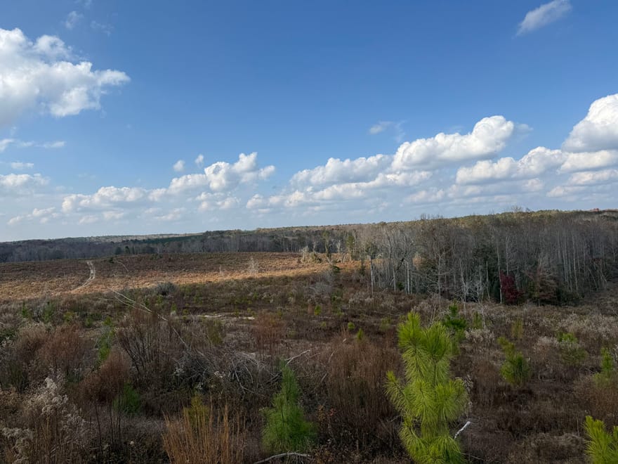994 Joe Jones Road, Ideal, Georgia