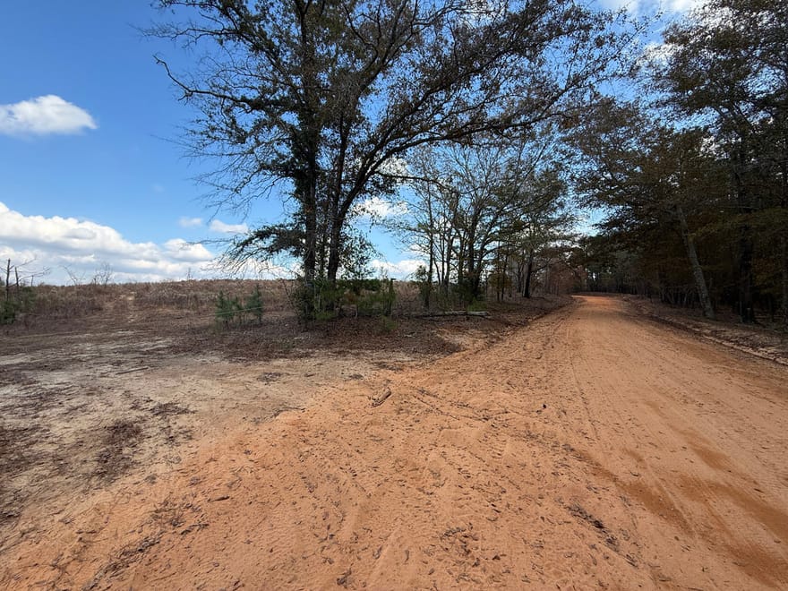 994 Joe Jones Road, Ideal, Georgia