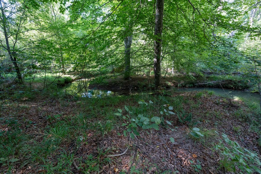 12 Bunch Road, Tignall, Georgia