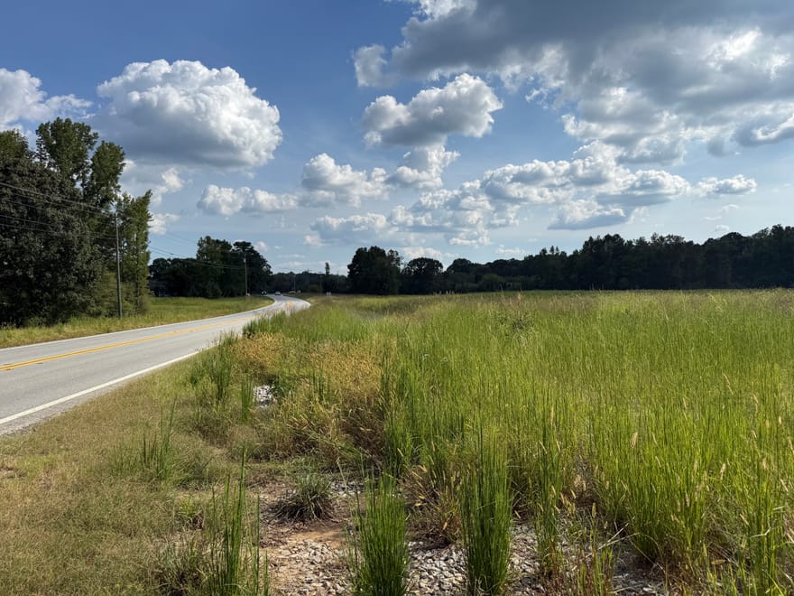 Hwy 113, Temple, Georgia