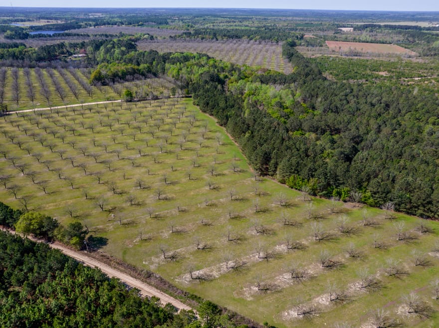 9.64 ACRES Kermit Road, Cobbtown, Georgia