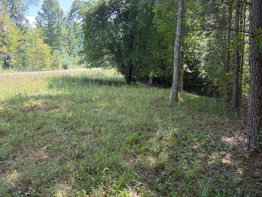 #41 Meadow Brooke Drive, Young Harris, Georgia