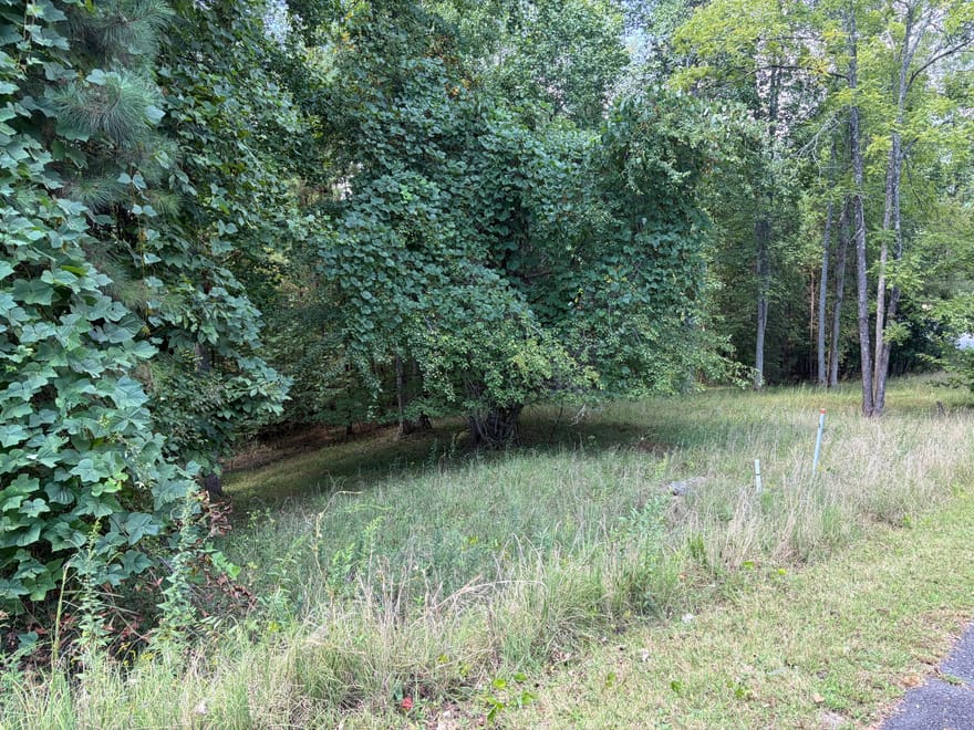 #41 Meadow Brooke Drive, Young Harris, Georgia