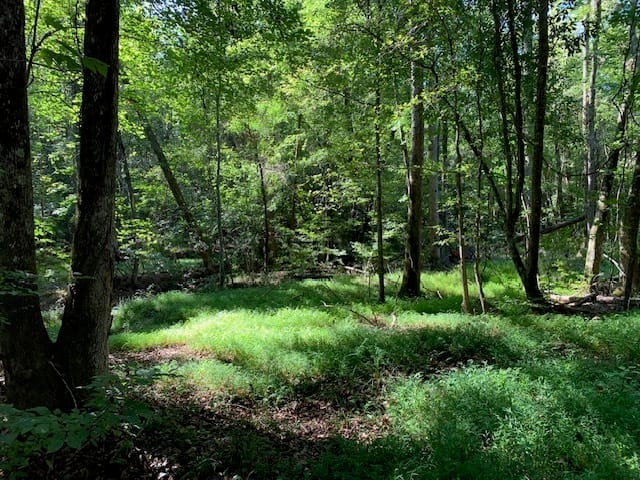 4000 Landham/campbellton Road, Fairburn, Georgia