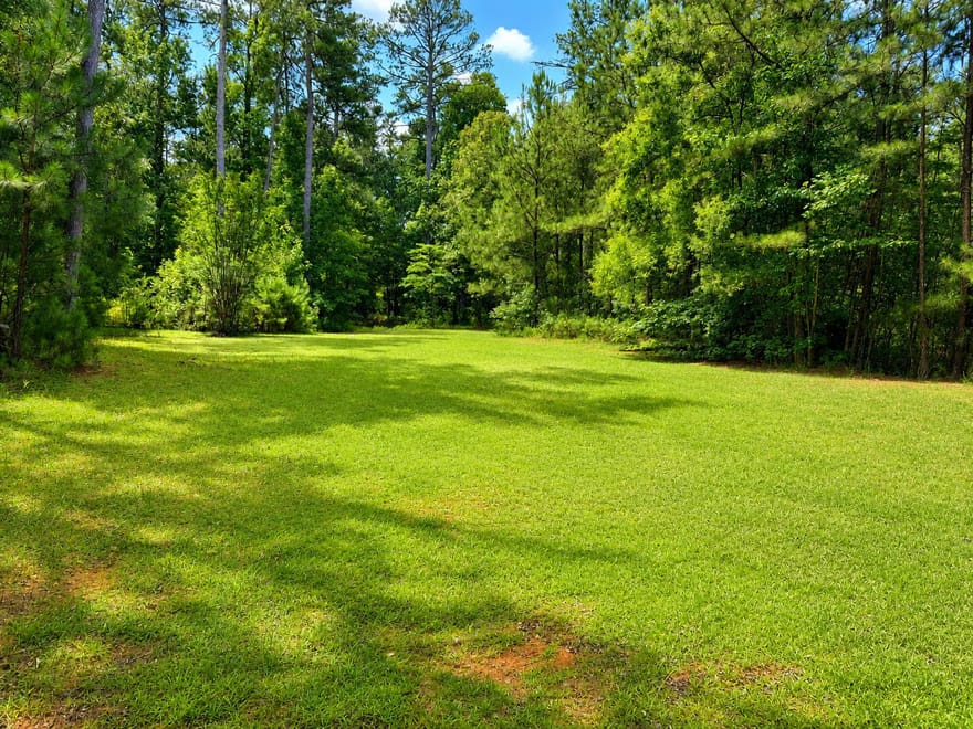 30 Cornish Trace Drive, Covington, Georgia